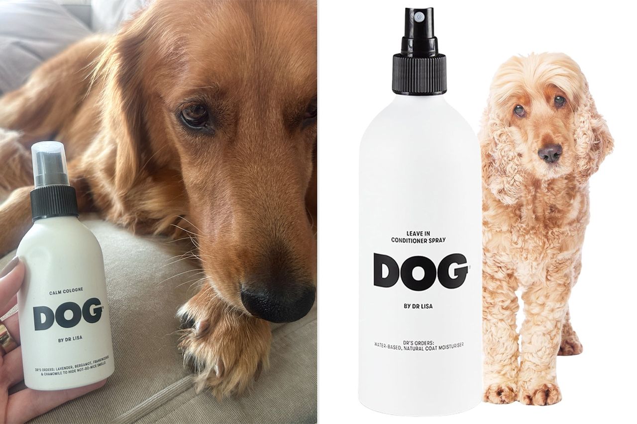 Two dogs and grooming products featuring a closeup of one dog with a conditioning spray bottle and another next to a product image Credit: People; Amazon