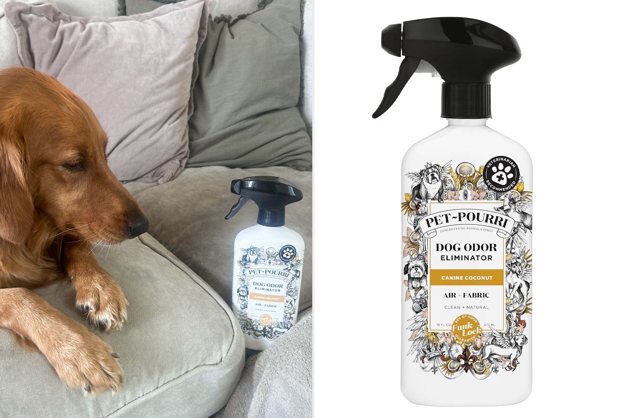 A dog lying on a couch near a bottle of pet odor eliminator another image of the bottle on a white background Credit: People; Amazon