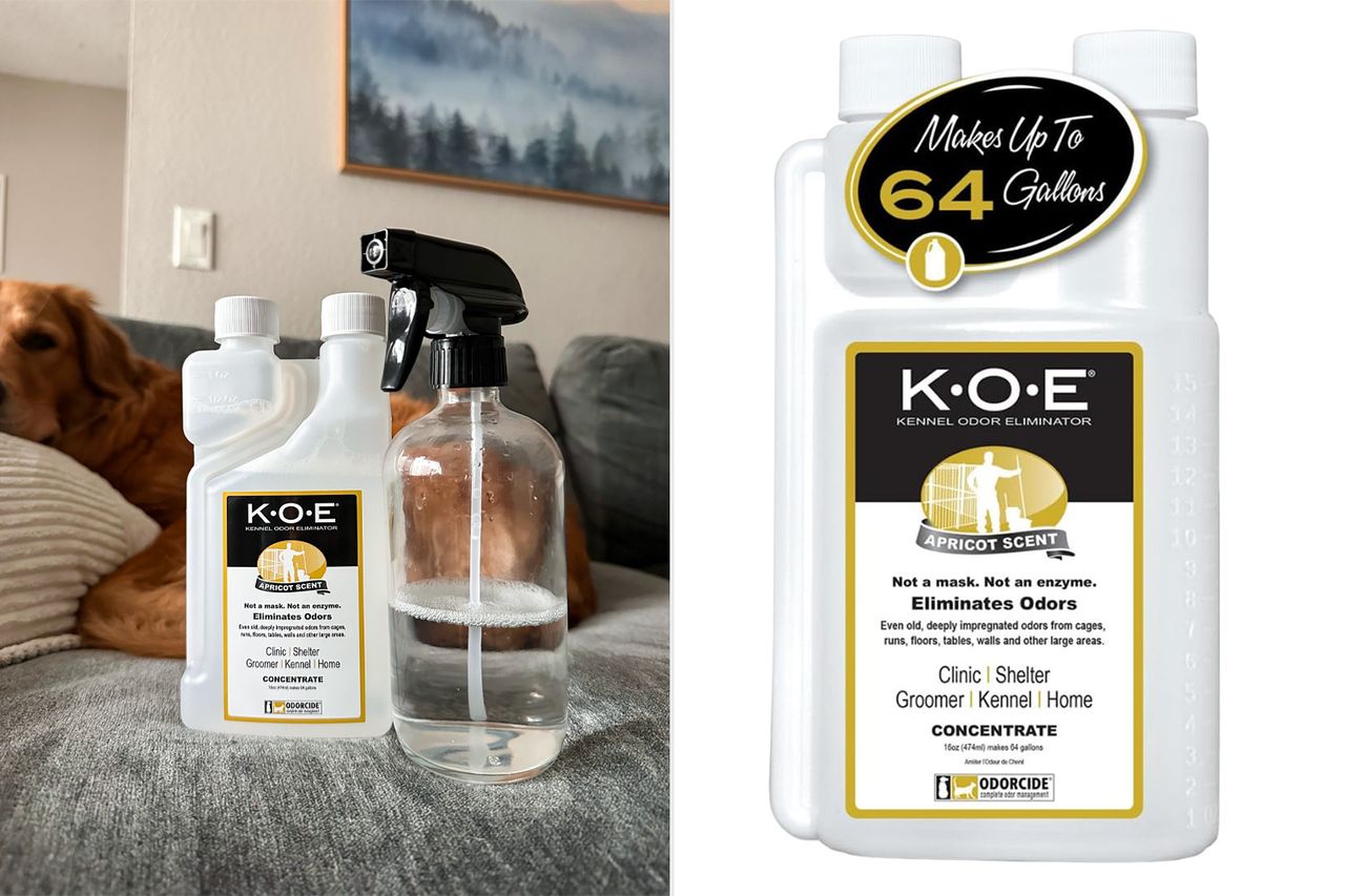 Pet cleaning products with packaging details a spray bottle and dogs face visible on the left side Credit: People; Amazon