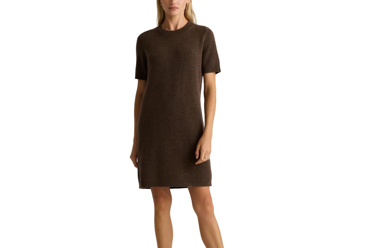Quince Mongolian Cashmere Short Sleeve Mini Dress Credit: Quince