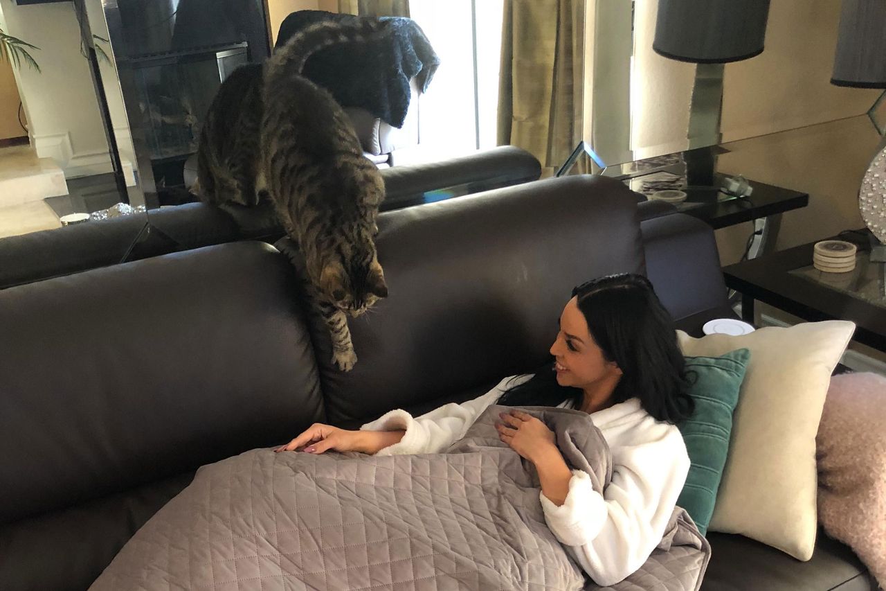Scheana Shay's cat Penny Lane passed away Scheana Shay with her cat Penny LaneCredit: Scheana Shay/Instagram