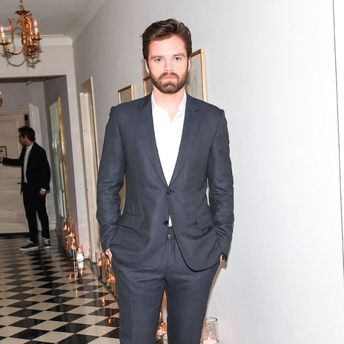 Sebastian Stan Frequently Works With Past Co-Stars