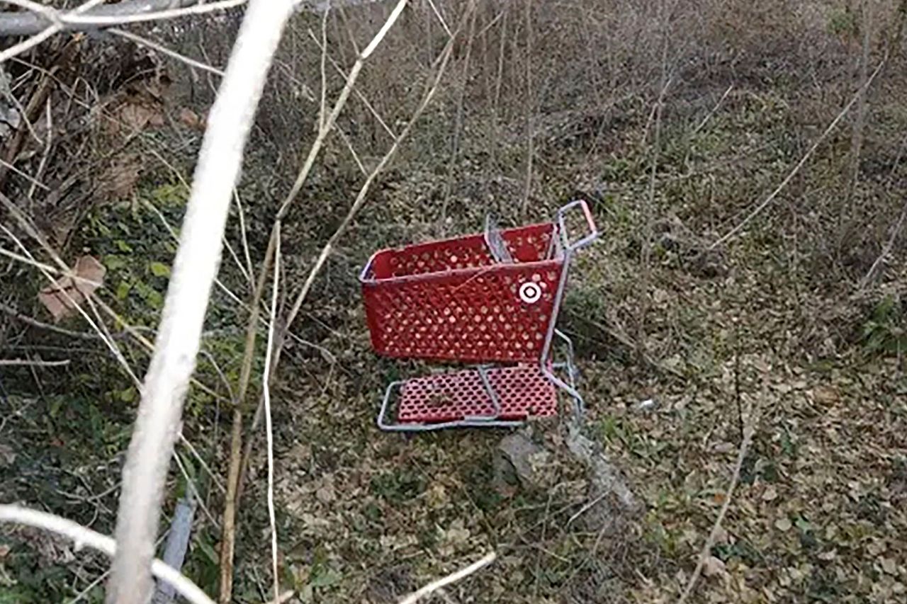 Shopping cart found in Fairfax CountyCredit: Fairfax County Police Department
