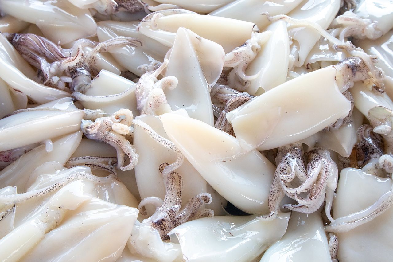 (Stock Image) Authorities spent several hours cleaning the squid before the road reopenedCredit: Getty