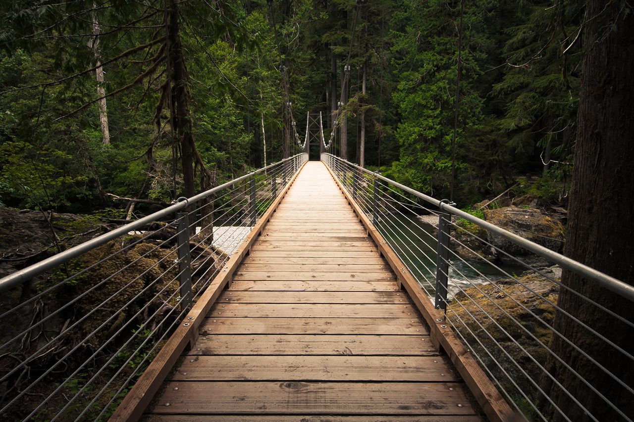 Bridge over the North Fork Skokomish River, Staircase Area, Olympic National Park, Washington, USA Staircase Bridge at Olympic National Park in Washington state.Credit: Alamy