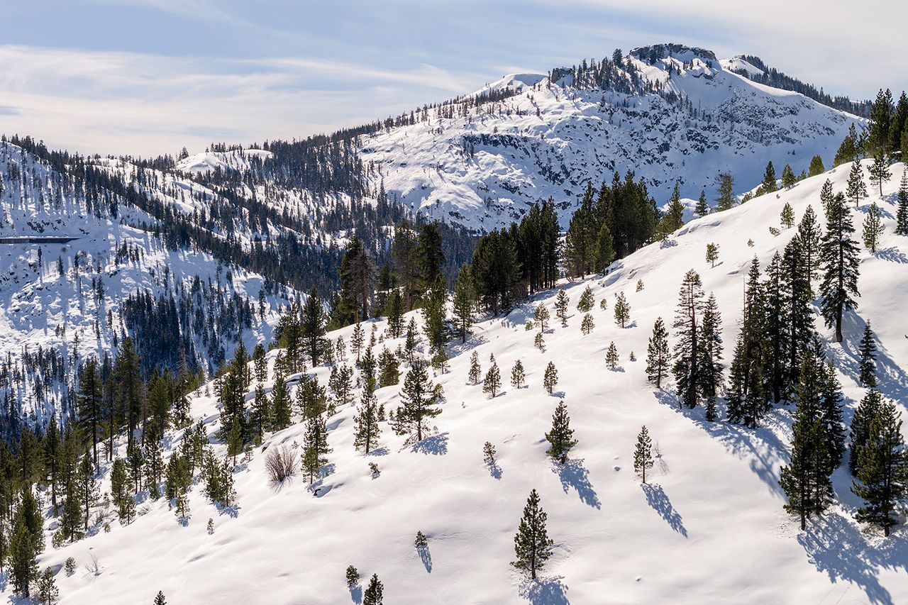 An aerial view of a snow-capped Tahoe National Forest is seen in Truckee, Calif., Sunday, Feb. 22, 2026 Tahoe National Forest on Feb. 22, 2026Credit: Stephen Lam/San Francisco Chronicle via Getty