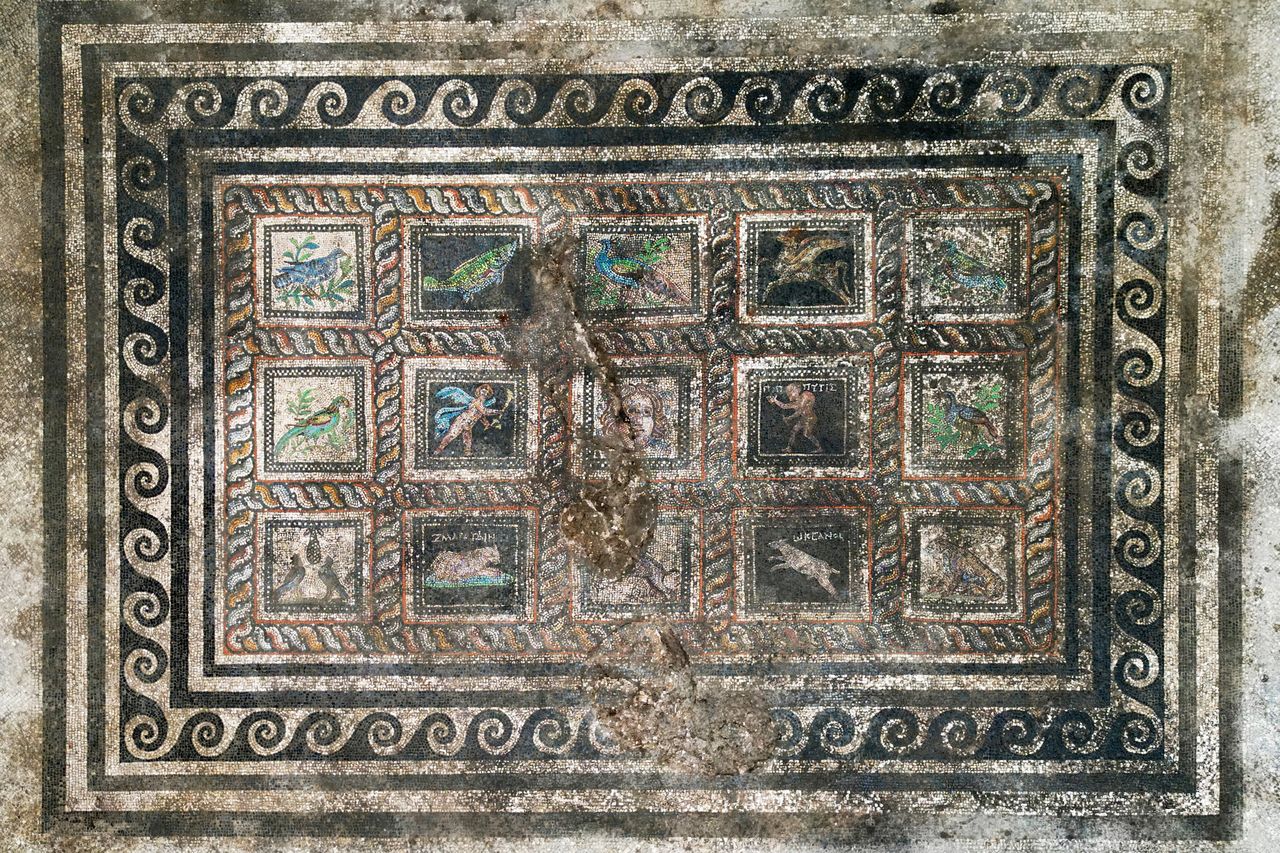 Adramytteion Mosaics A Roman mosaic made up of 15 individual scenesCredit: Adramytteion Research Archive/Hüseyin Murat Özgen