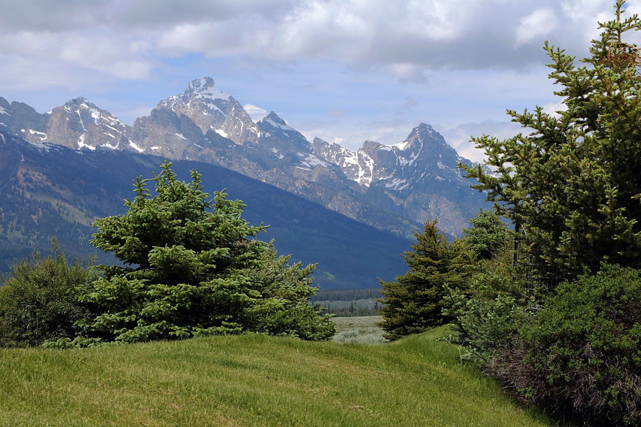 Grand Teton National Park is a 310,000 acre park in northwestern Wyoming bordering Idaho to its west and Yellowstone National Park Stock image of Grand Teton National ParkCredit: Don and Melinda Crawford/UCG/Universal Images Group via Getty
