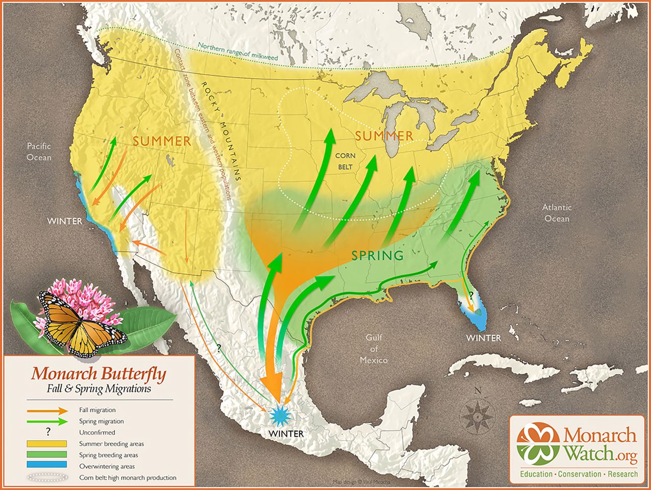 Monarch Migration Map Monarch Migration Map.Credit: monarchwatch.org
