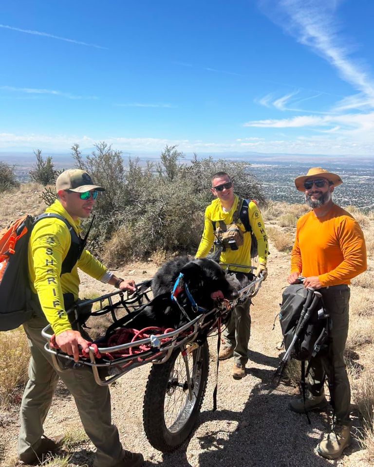 Bernalillo County Sheriff's Office rescues Atlas the dog, who became too exhausted to finish a difficult hike Atlas the dog in a Stokes basket with his rescuersCredit: Bernalillo County Sheriff's Office/Facebook