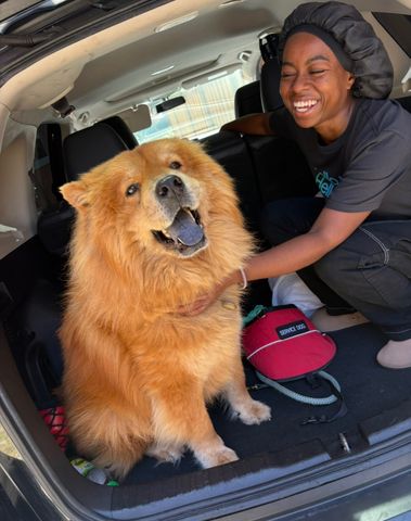 Kiara Bowling. Kiara Bowling is continuing to recover after being critically injuredCredit: gofundme