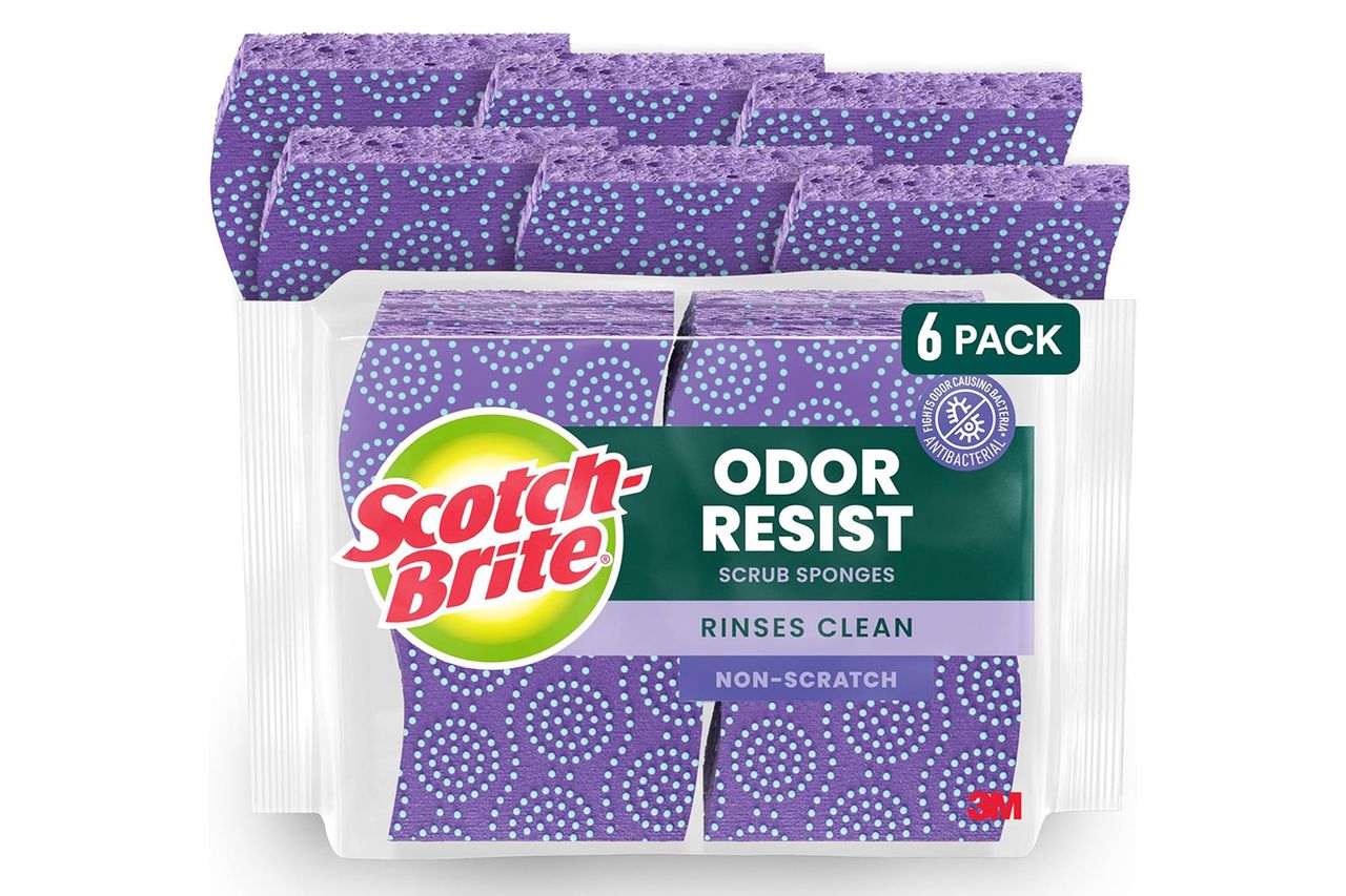 Scotch-Brite Odor Resist Non-Scratch Scrub Sponge Credit: Amazon