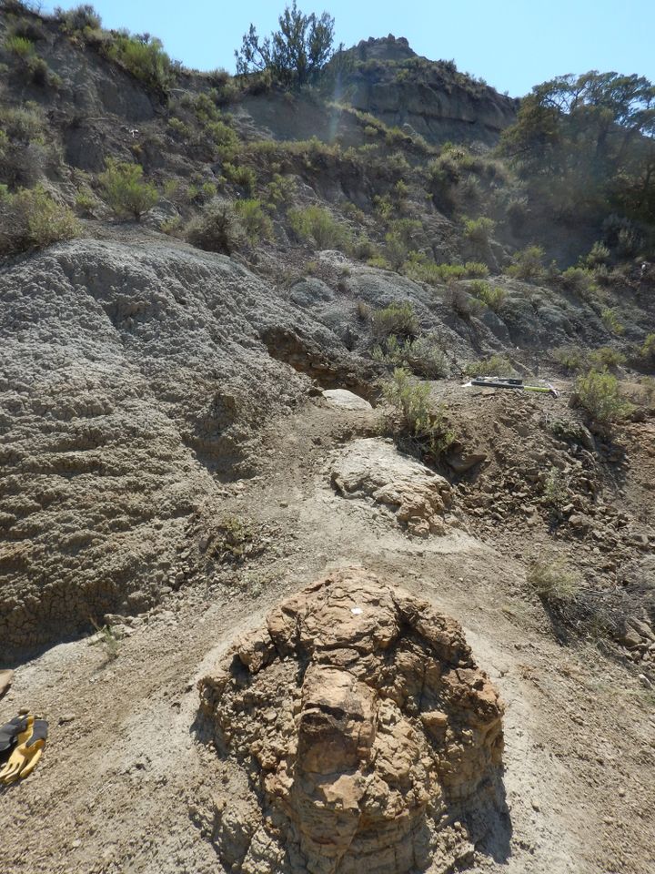 Drone of T. rex trackwayCredit: Kent Hups